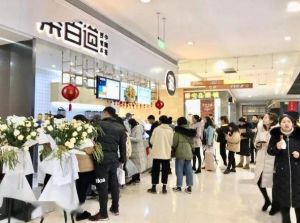 青岛mk体育加盟费是多少？